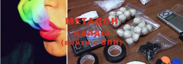 индика Алзамай