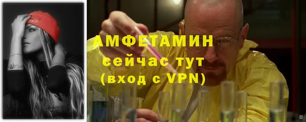 стафф Алексин