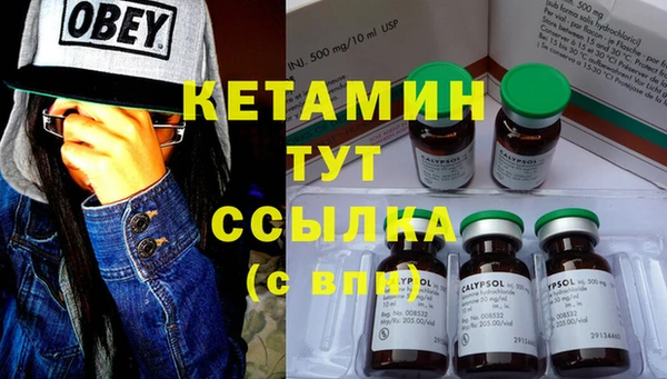 стафф Алексин