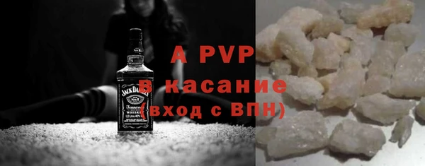 стафф Алексин