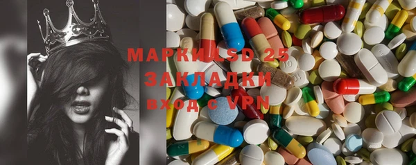 индика Алзамай